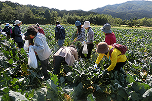 産地支援活動